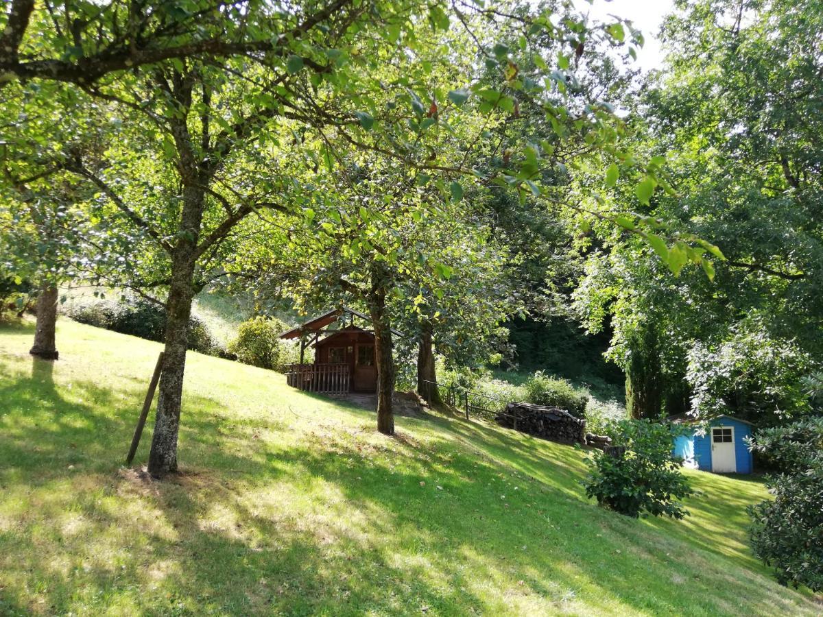 Chalet Madeleine - 160 Qm Ferienhaus Baden-Baden Zewnętrze zdjęcie